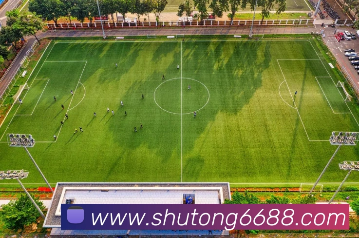 线上买球APP 高清赛事图